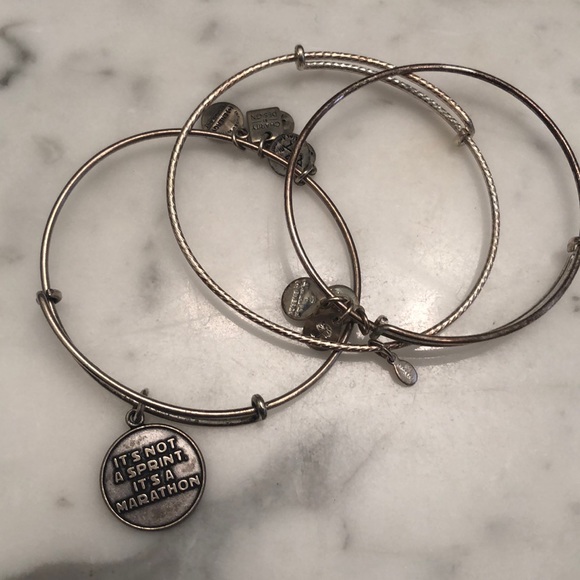 Alex and Ani Jewelry - Alex and Ani charm bracelet